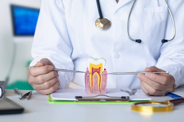 Best Emergency Dental Care for Trauma or Injury in North Plymouth, MA